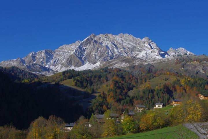 Le Grand Nant Appartement La Giettaz Buitenkant foto